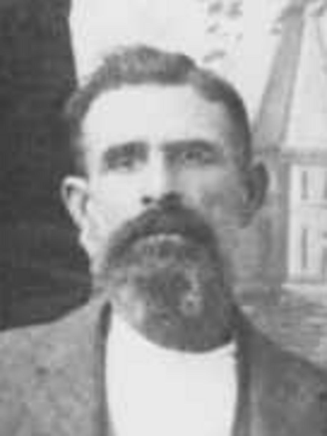 John Riley McDaniel (1839 - 1909) Profile